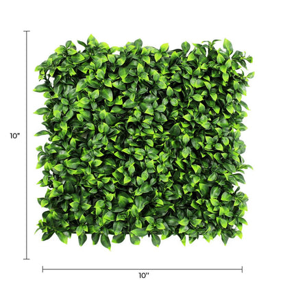 Sample Panel – Jasmine Green Wall (Small Sample)