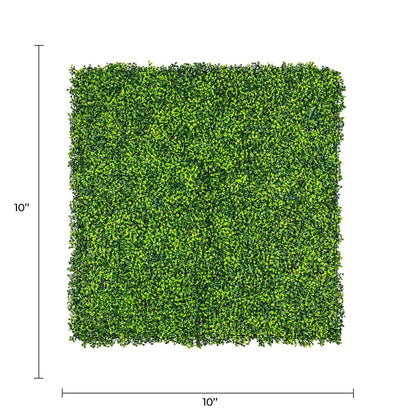 Sample Panel – Mixed Boxwood Green Wall (Small Sample)