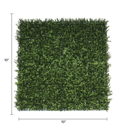 Sample Panel – Natural Boxwood Green Wall (Small Sample)