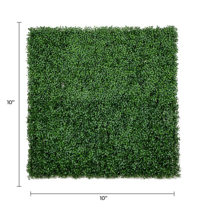 Sample Panel – Dark Boxwood Green Wall (Small Sample)