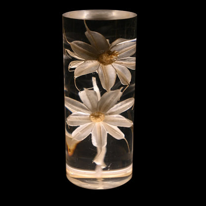 DecorBites™ Eternal Flower Acrylic Desk Lamp LED Nightlight Bedroom Bedlight Decoration