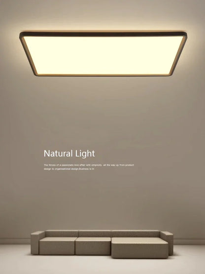 DecorBites™ LED Ceiling Lights for Home Deco - Minimalist Modern Lighting Fixture