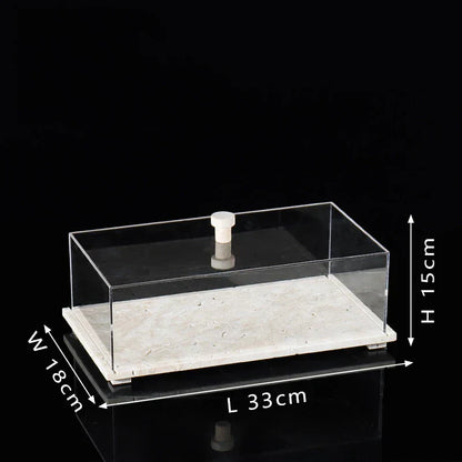 Acrylic Display Case on Travertine Base by DecorBites™ for Collectibles, Figurines, Desserts