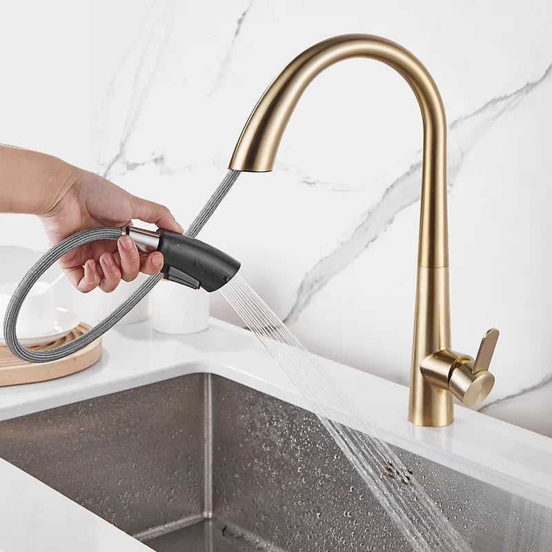 DecorBites™ Brushed Gold Kitchen Sink Faucet with Pull Out Spring Spout