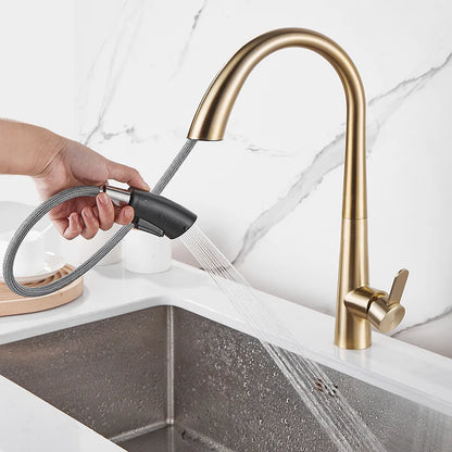 DecorBites™ Brushed Gold Kitchen Sink Faucet with Pull Out Spring Spout