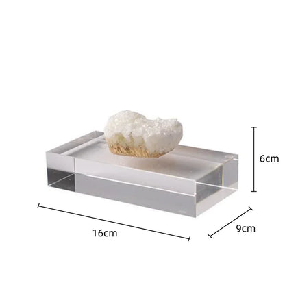 DecorBites™ Clear Crystal Coralline Ornaments for Home Decor
