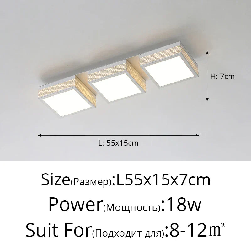 DecorBites™ Black White LED Ceiling Lights Modern Minimalist Bedroom Study Lighting Fixtures