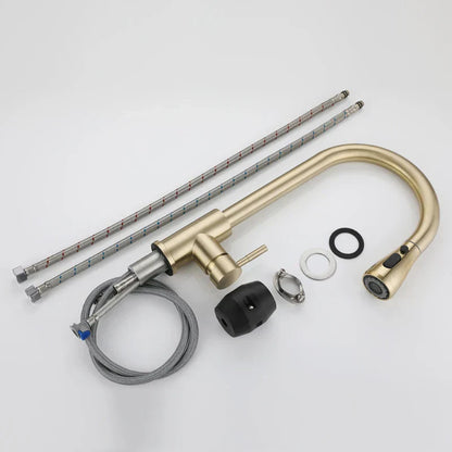 DecorBites™ Brushed Gold Single Handle Pull Out Kitchen Faucet