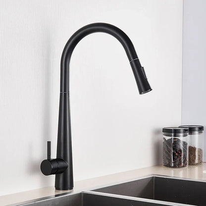 DecorBites™ Gold Swivel Kitchen Faucet with Pull Down Sprayer