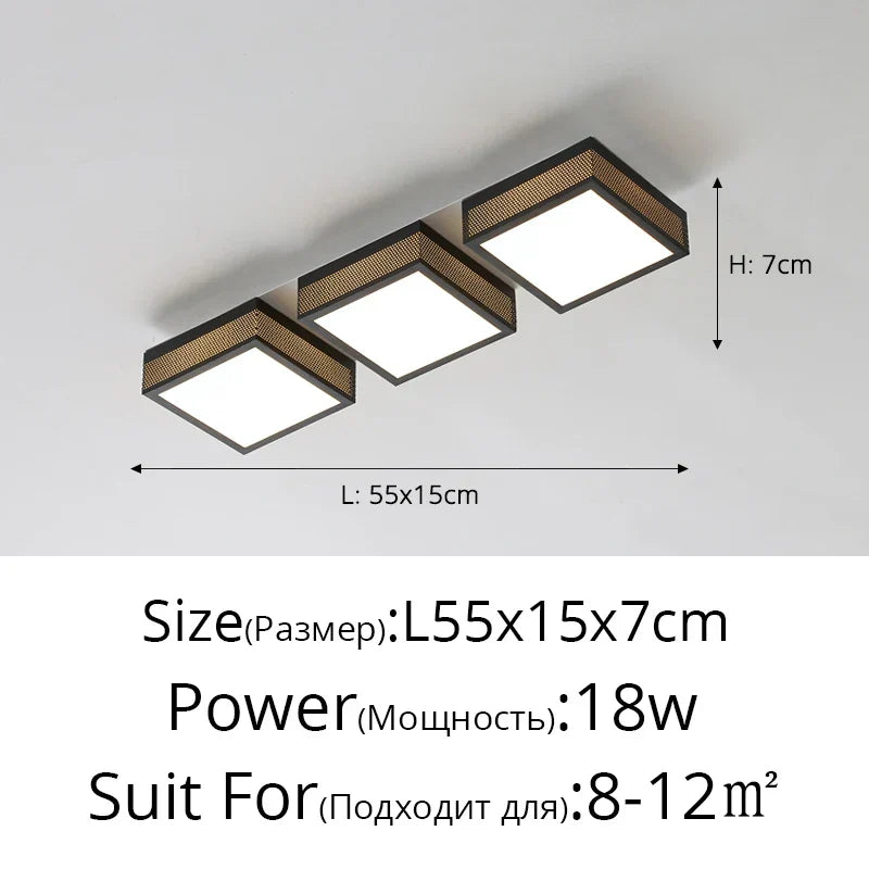 DecorBites™ Black White LED Ceiling Lights Modern Minimalist Bedroom Study Lighting Fixtures