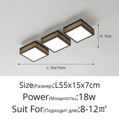 DecorBites™ Black White LED Ceiling Lights Modern Minimalist Bedroom Study Lighting Fixtures