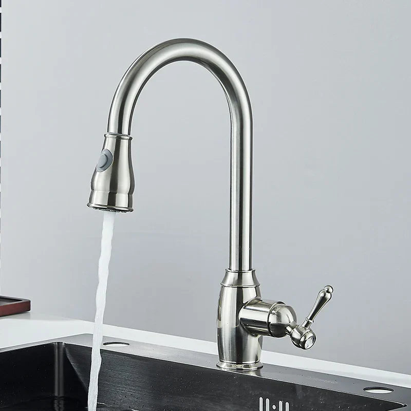 DecorBites™ Black Kitchen Faucet: Single Handle Pull Out Mixer, Two Function Hot and Cold Water Taps