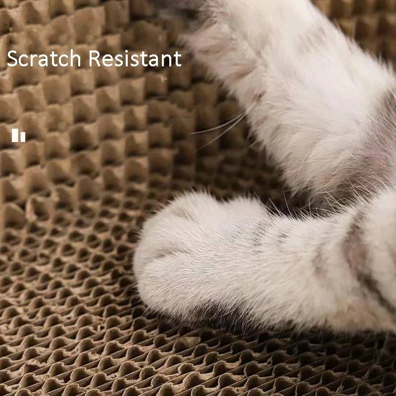 DecorBites™ Cat Scratch Lounge Bed & Training Toy - Cat Scratcher Board for Sharpening Nails