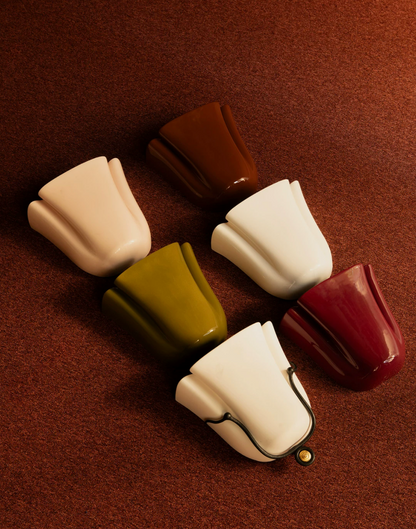 Solenne Shell Wall Sconce