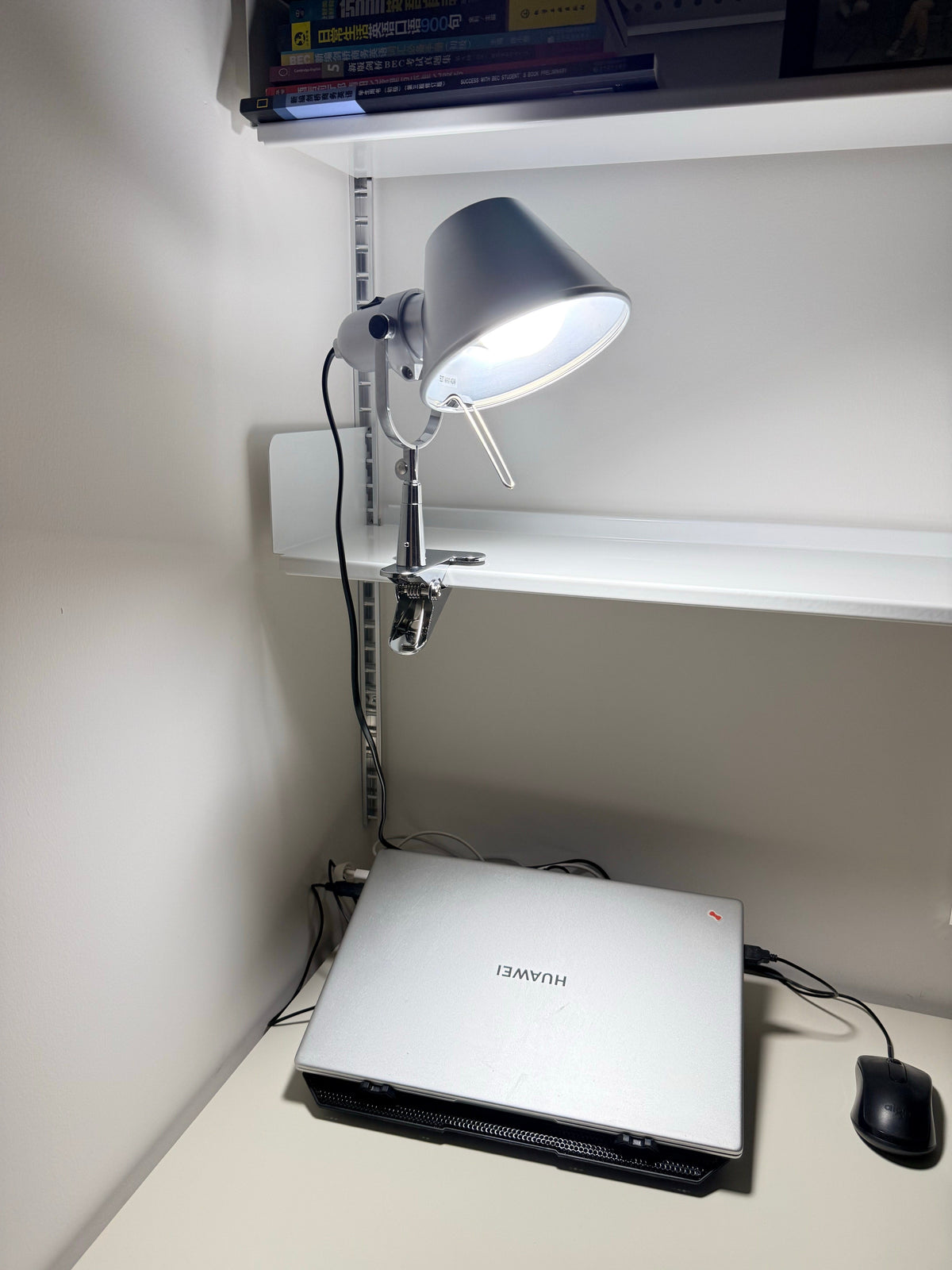 Tolomeo Pinza Clip Lamp