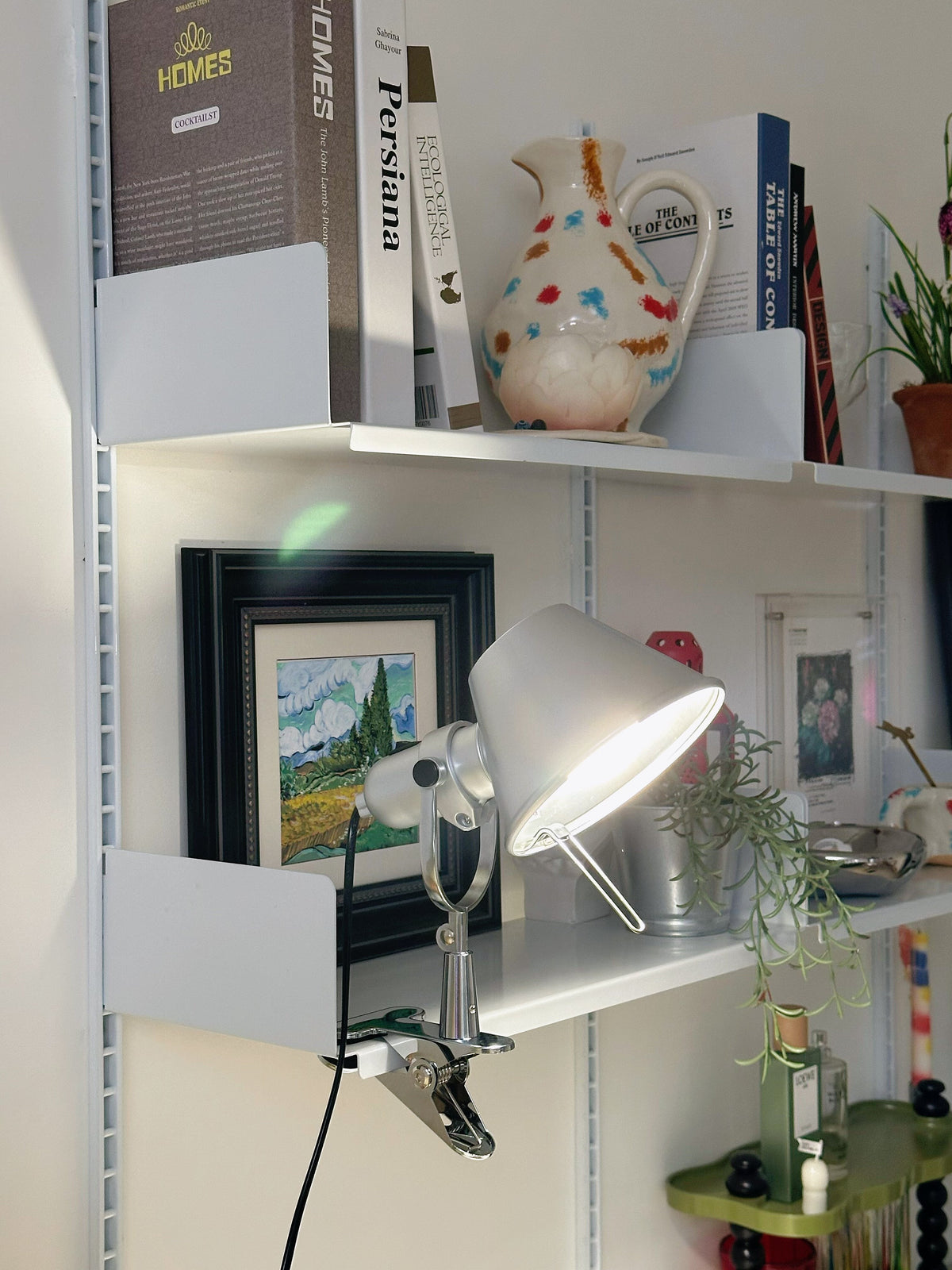 Tolomeo Pinza Clip Lamp