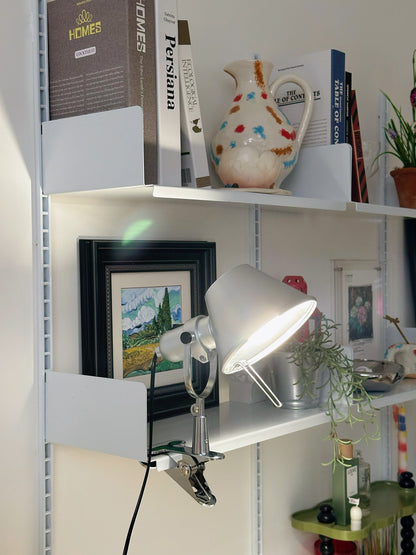 Tolomeo Pinza Clip Lamp