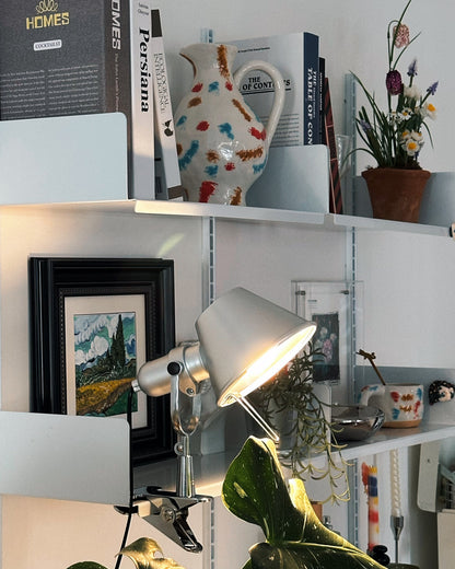 Tolomeo Pinza Clip Lamp