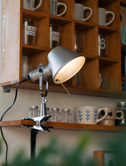 Tolomeo Pinza Clip Lamp