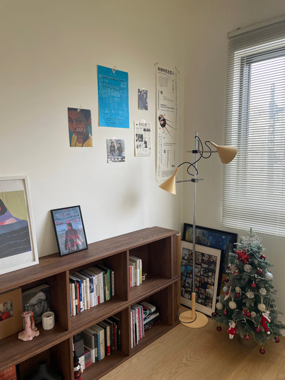 Twin Cone Floor Lamp