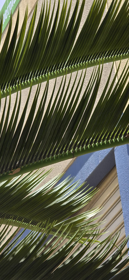 Royal Palm Artificial Tree 13ft–23ft – UV Resistant (10–12 Week Lead Time)