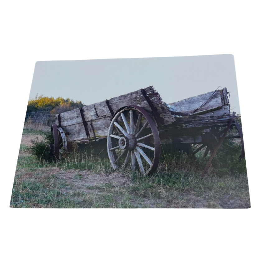 Single Pack Greeting Card | Mutliple Designs | Kenn Stobbe