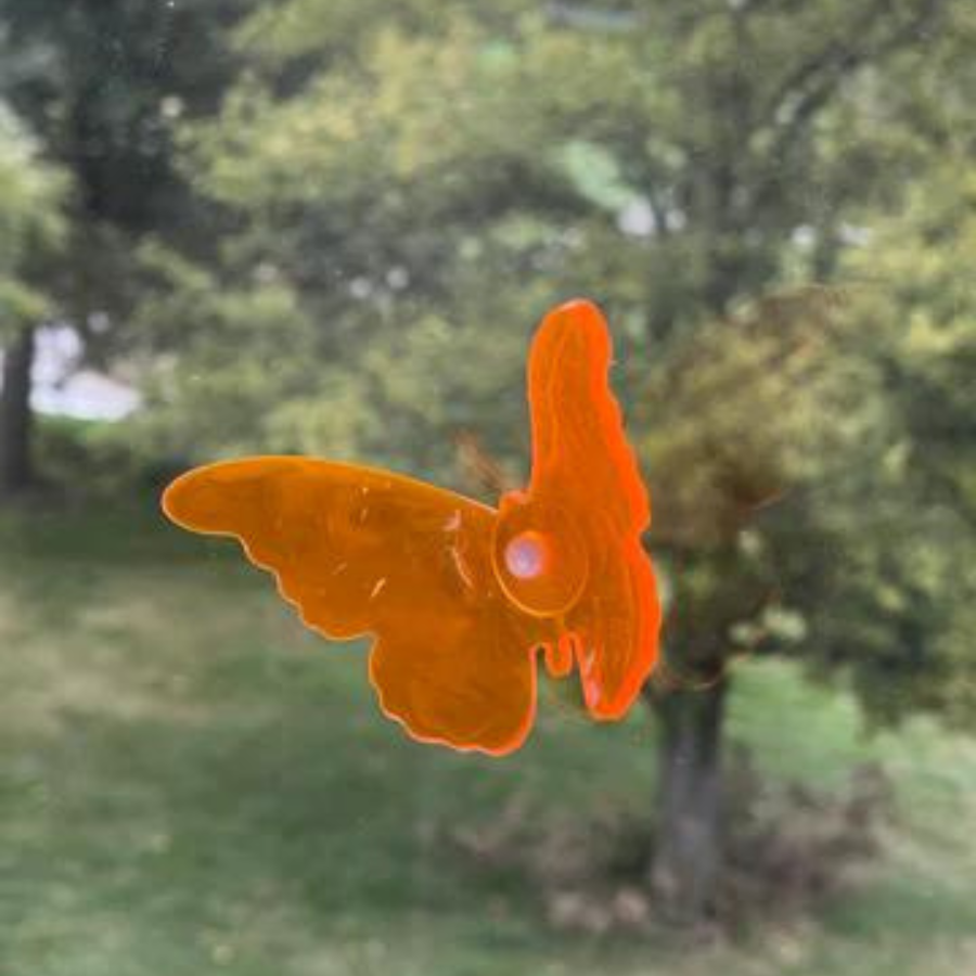 Suncatcher Butterfly | Multiple Colors | Glowing Creation