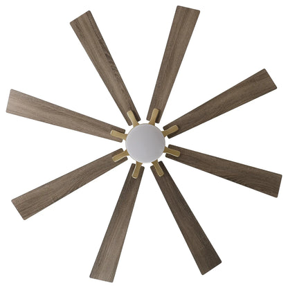 72 Inch Elbe Modern Downrod Mount Ceiling Fan with Light and Remote Control