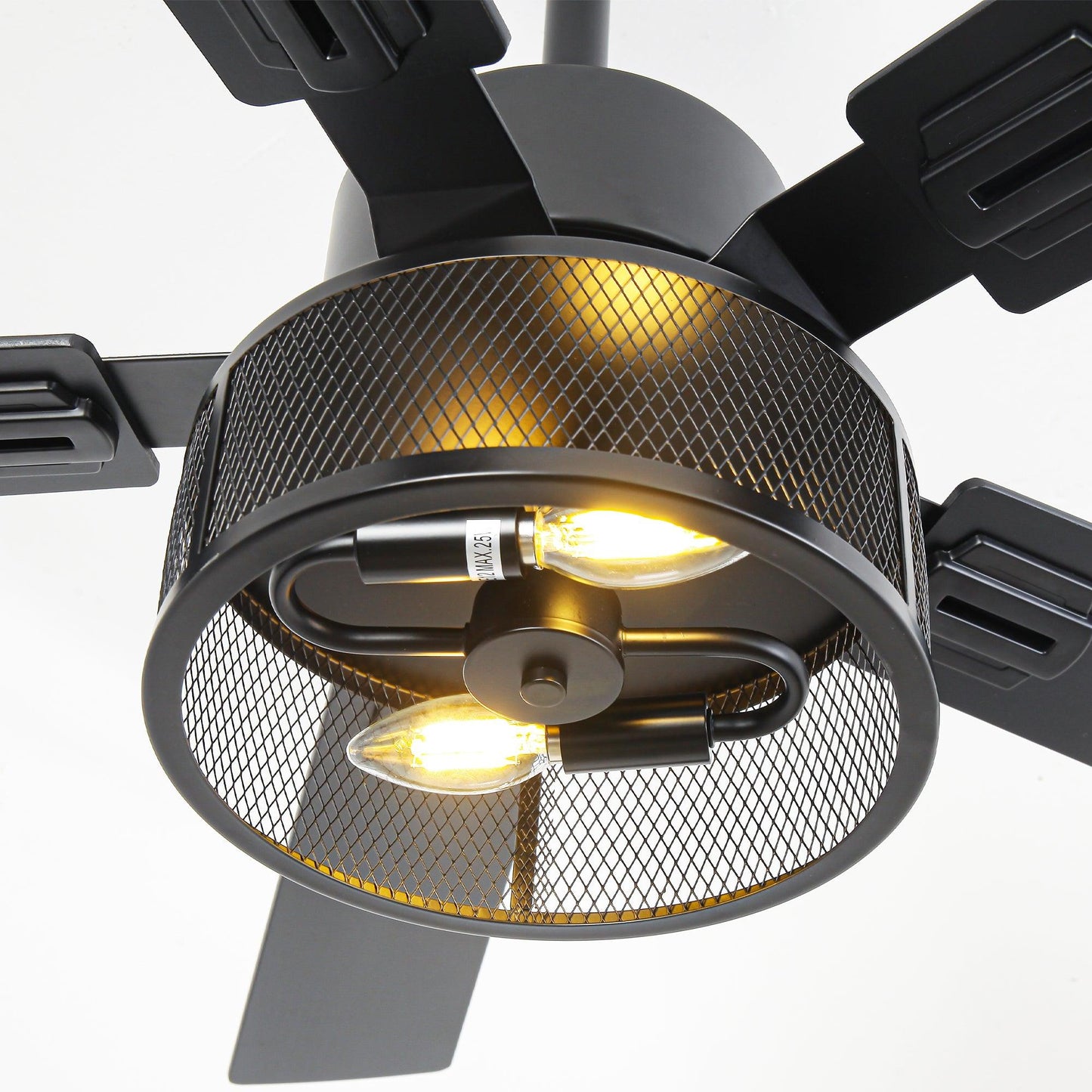 Vaczon 42 Inch 52 Inch 60 Inch Eden Downrod Mount Ceiling Fan with Light and APP & Remote Control