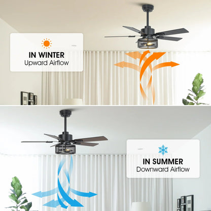 Vaczon 42 Inch 52 Inch 60 Inch Eden Downrod Mount Ceiling Fan with Light and APP & Remote Control