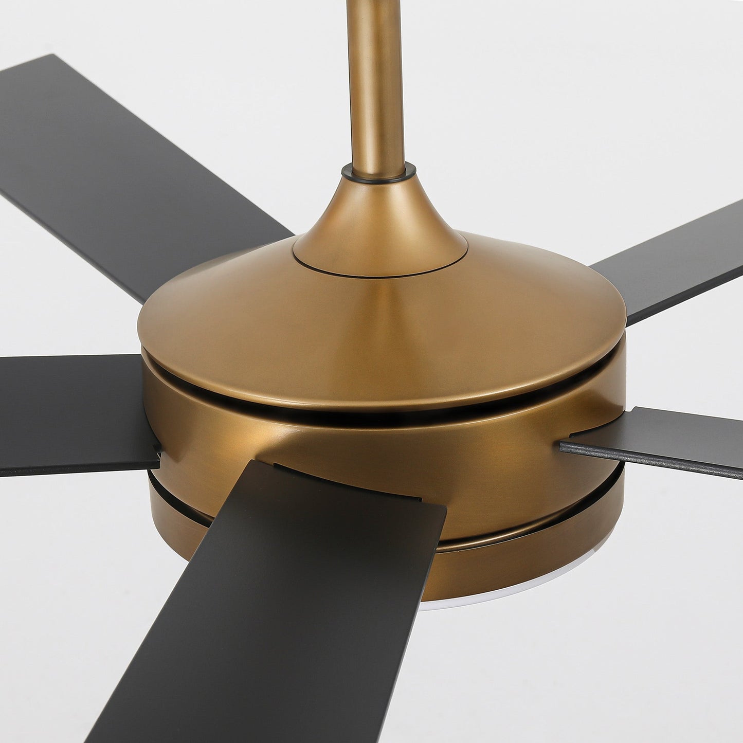 Vaczon 48 Inch Tracy Downrod Mount LED Ceiling Fan with APP & Remote Control