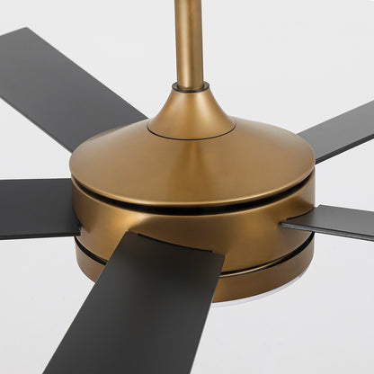 Vaczon 48 Inch Tracy Downrod Mount LED Ceiling Fan with APP & Remote Control