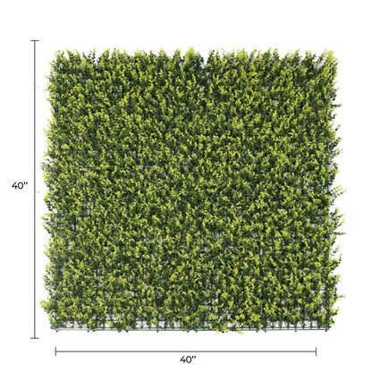 Yellow English Boxwood Artificial Vertical Garden Green Wall Panel 40×40in 11 SQ FT – UV Resistant – Commercial Grade