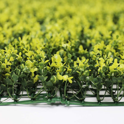 Sample Panel – Yellow English Boxwood Green Wall (Small Sample)