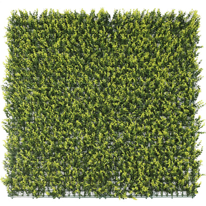 Sample Panel – Yellow English Boxwood Green Wall (Small Sample)