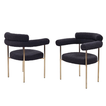 Upholstered Accent Dining Chairs With Armrests (Set of 2)