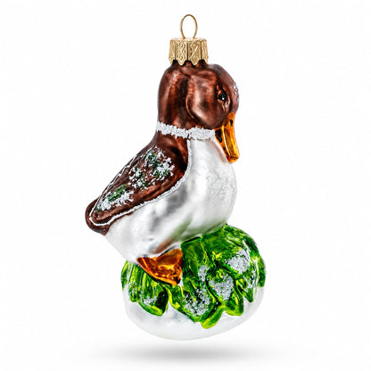Brown Headed Duck on Grass Glass Christmas Ornament