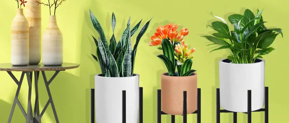 Adjustable black metal plant stand for living room sturdy support