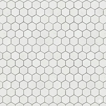 Alpina White Polished Hexagon Marble Mosaics 10 3/8x12