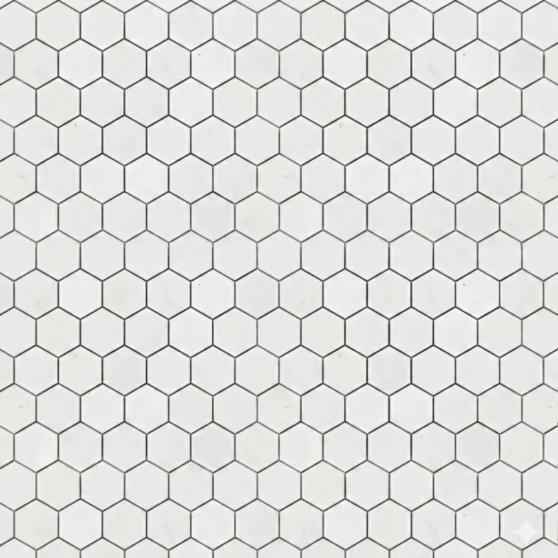Alpina White Polished Hexagon Marble Mosaics 10 3/8x12
