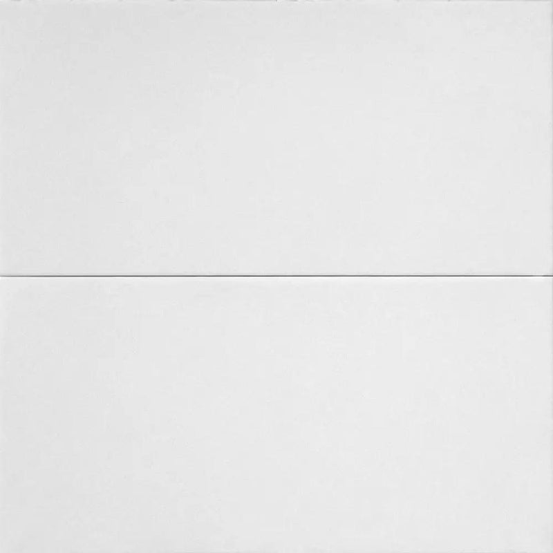 Alpina White T Polished Marble Tiles 12x24