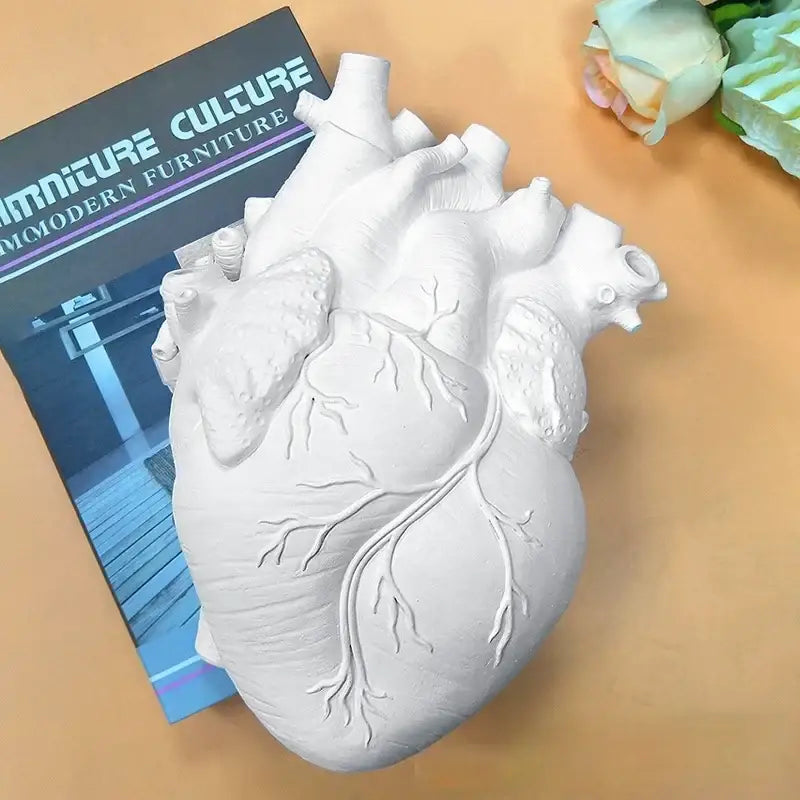 Anatomical white ceramic heart shape vase living room decor