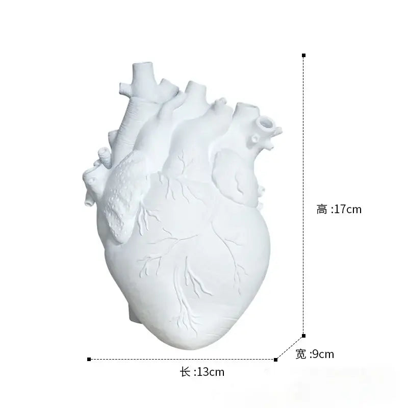 Anatomical white ceramic heart shape vase living room decor