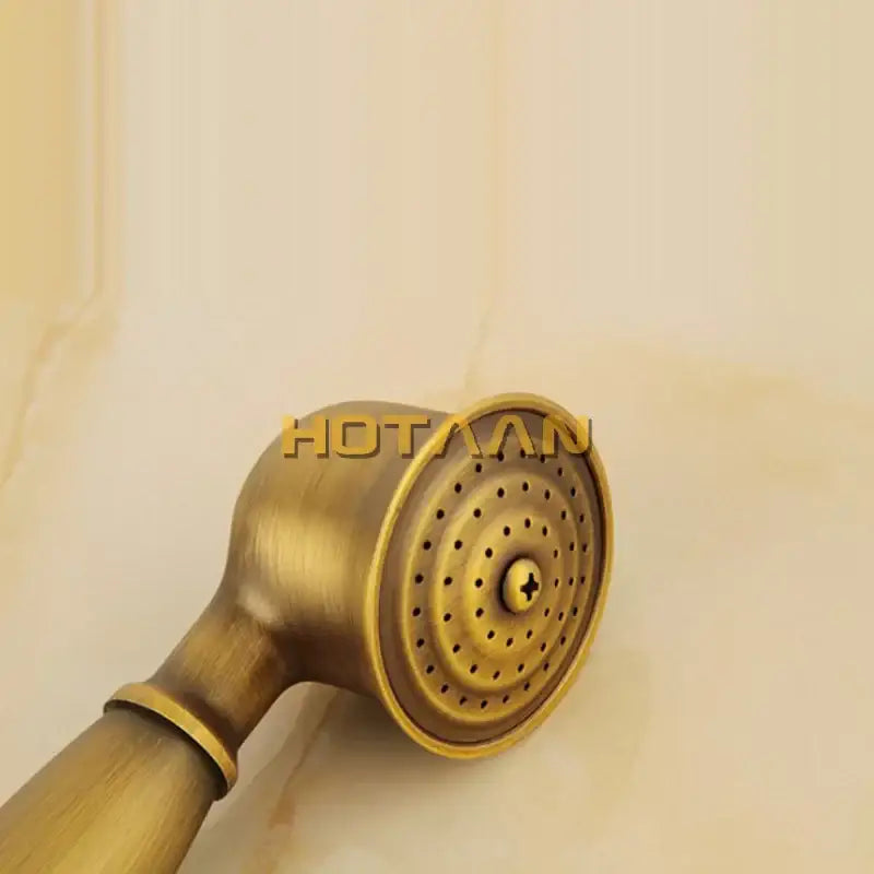 Antique brass hand shower set with wood grip – bathroom shower head