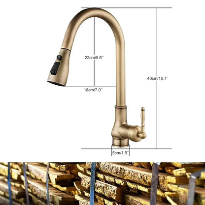 Antique bronze kitchen faucet with pull down spray head