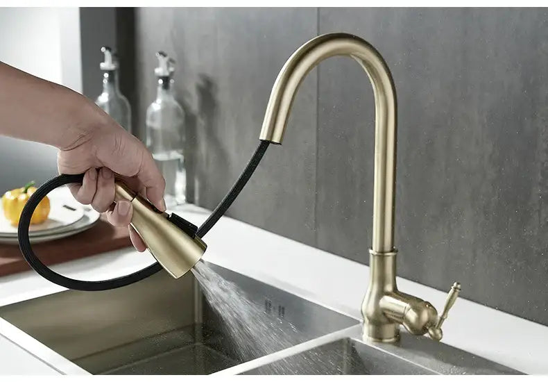 Antique bronze kitchen faucet with pull down spray head
