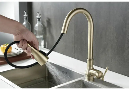 Antique bronze kitchen faucet with pull down spray head