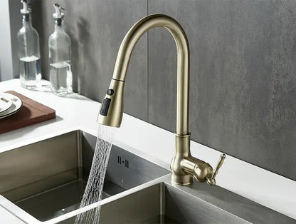 Antique bronze kitchen faucet with pull down spray head
