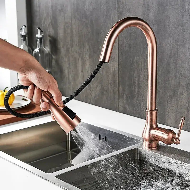 Antique bronze kitchen faucet with pull down spray head