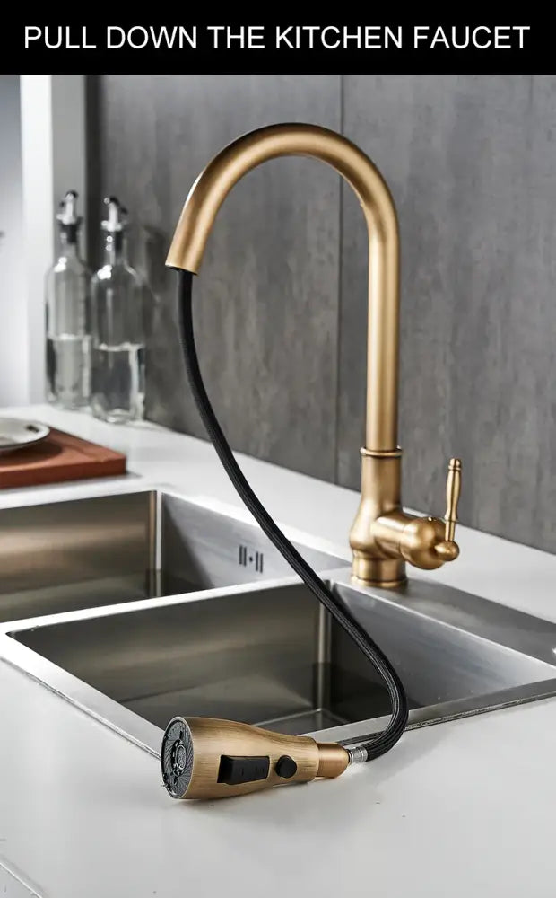 Antique bronze kitchen faucet with pull down spray head